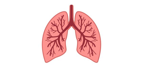 肺画像